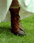The common Roman footwear, the calceus.