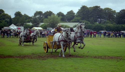 Roman games - Chariot Race
