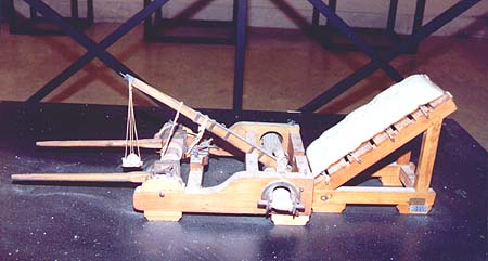 Model of an Onager