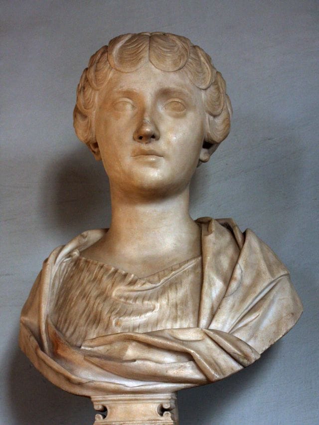 image not described image