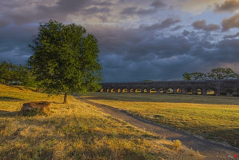 Top 5 Roman Gardens: Must-Visit Sites for History and Nature Lovers