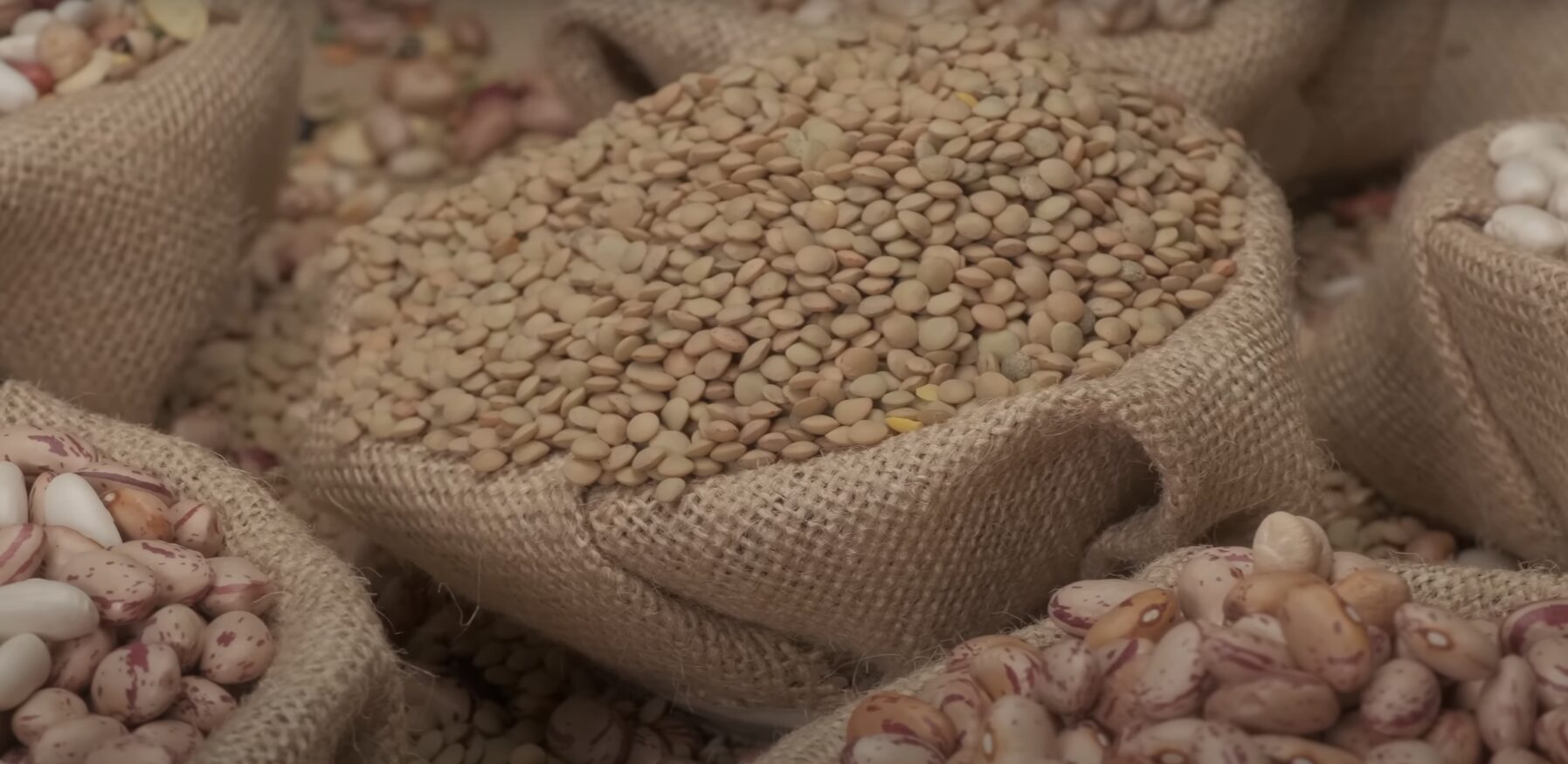 10 Foods That Fed The Roman Empire For Years (Not Pizza or Pasta)