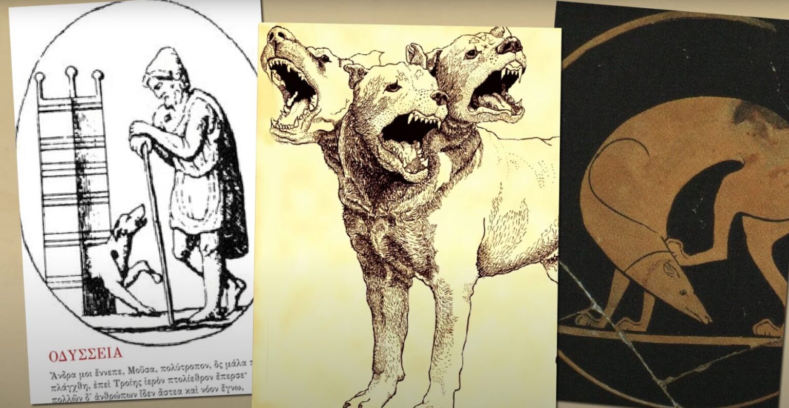 Dogs in Ancient Rome: Companions, Guardians, and Beloved Pets - Roman ...